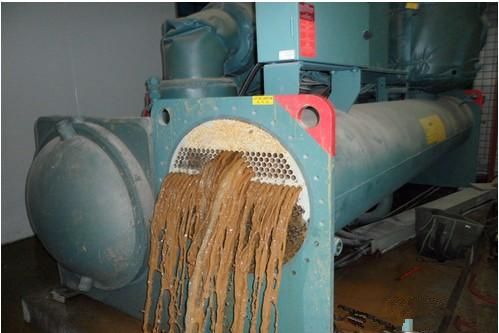 ��������ϴ����Ƭ